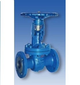 Van cầu - Globe Valves