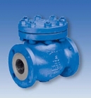 Van một chiều - Check Valves